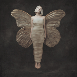 All My Demons Greeting Me as a Friend by Aurora