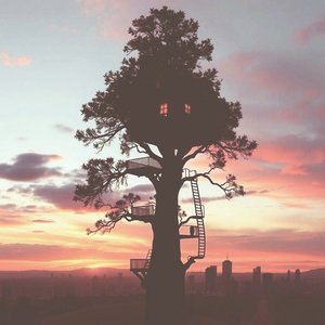 Treehouse Theories