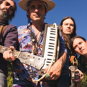 Avatar di The Skiffle Players