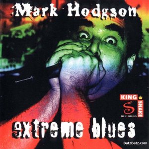 Avatar for Mark Hodgson Band