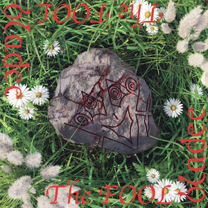 The Fool album cover