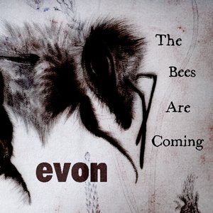 The Bees Are Coming