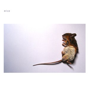 Mice