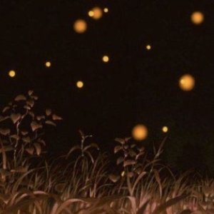 Avatar for Raena
