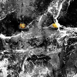 Avatar for K11 & Philippe Petit