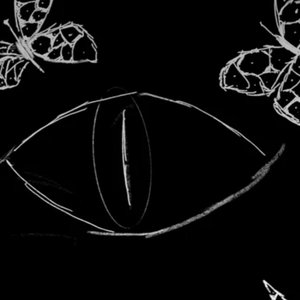 Avatar for Pursuit Of Reverie
