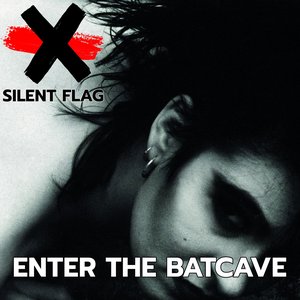 ENTER THE BATCAVE