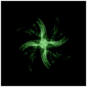 Avatar for selymes viragszirom