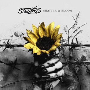 Shatter & Bloom