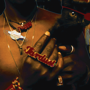 The Inevitable Rise and Liberation of Niggy Tardust by Saul Williams