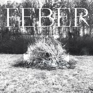 Feber