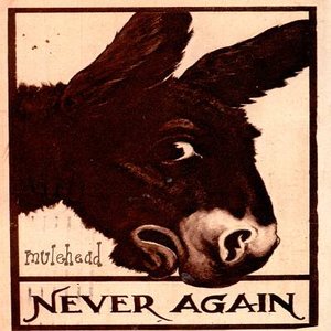 Never Again