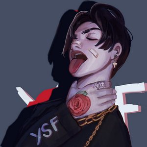 Avatar for YSF