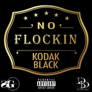 No Flockin' album cover