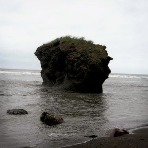 Voice of Decay