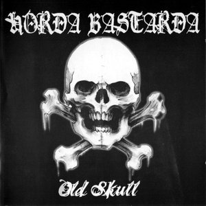 Old skull