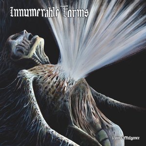 Impulse