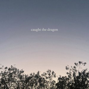 Caught the Dragon