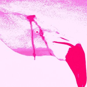 Avatar for Pink Flamingo