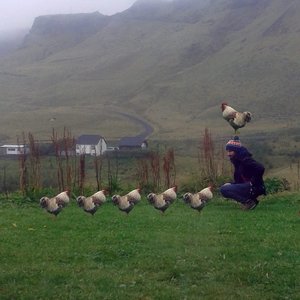 Avatar for Făt Frumos