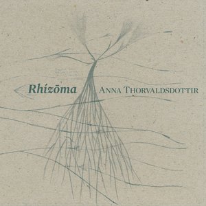Rhizoma