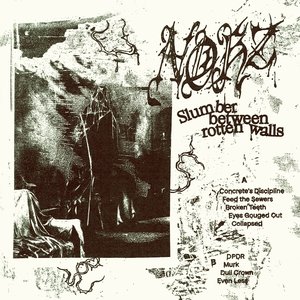 SLUMBER BETWEEN ROTTEN WALLS