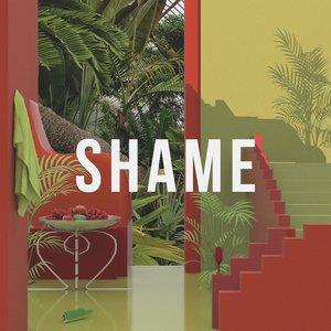 Shame