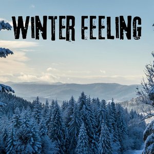 Winter Feeling