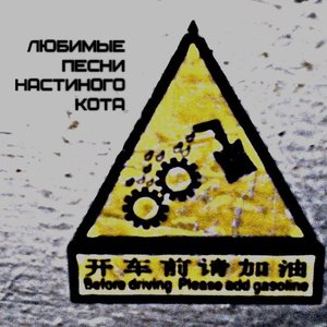 Avatar for Любимые песни настиного кота
