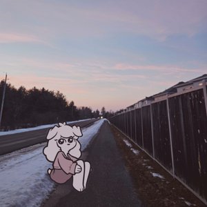 coral drive / liar