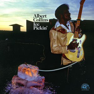 Ice Pickin' de Albert Collins