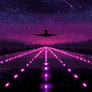 Last Flight Home