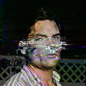 Avatar for Torn Hawk