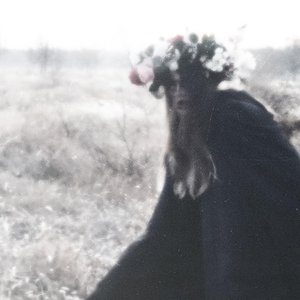 The Lovers - Single