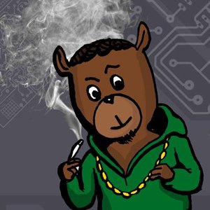Avatar for Mystical Hamsta