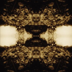 Black Triage (Bonus Track Version)
