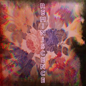 Reminiscence