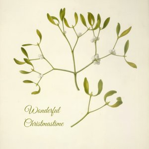 Wonderful Christmastime
