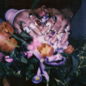 DO NOT TAKE THE FLOWERS
