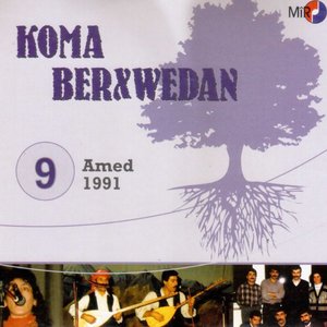 Amed, Vol. 9 (1991)