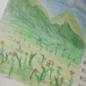 ciclos