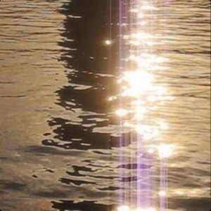 blissful lights