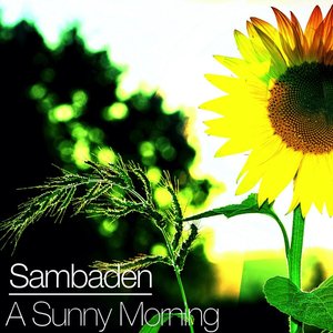 A Sunny Morning