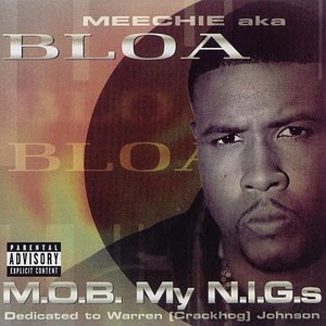 Аватар для Meechie a.k.a. Bloa