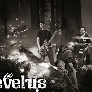 Avatar for Revelus