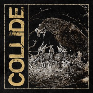 Collide