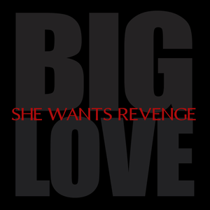 She Wants Revenge