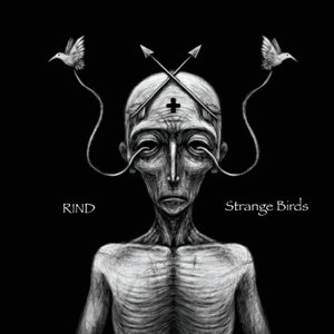 Strange Birds