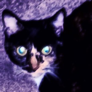 Avatar for Andy's Toy