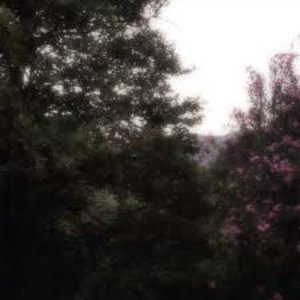 i wrote this song in my bed